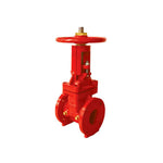 Válvula de Compuerta Bridada 300psi